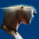 A crop of the poster for The Wanting Mare.